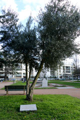 Cliquez sur la vignette pour l'agrandir